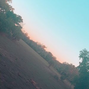 Meet your Posher, Bella